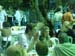volos_marianna 254